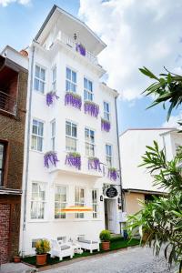 伊斯坦布尔玛塔拉奇考拉克酒店的白色的建筑,阳台上有紫色的鲜花