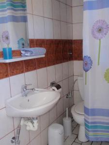 a bathroom with a sink and a toilet at Villa Gesthimani in Neos Marmaras