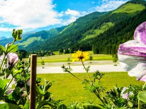 a yellow flower in a field with mountains in the background at Apartment Gipfelkreuz by Interhome in Donnersbachwald