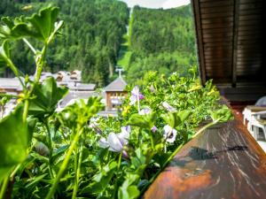 Příroda nedaleko apartmánu + 19 fotografií