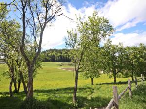 Naturlandschaft in der Nähe des Ferienhauses