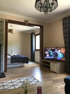 a living room with a large mirror and a tv at Moselina Ferienwohnungen in Sankt Aldegund
