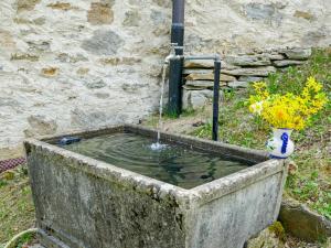 a stone tub with a water fountain with a vase of flowers at Holiday Home Rustico L'Hibou by Interhome in Corzoneso