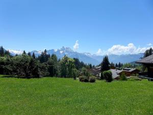 a field of green grass with mountains in the background at Apartment Cristel 2 by Interhome in Villars-sur-Ollon