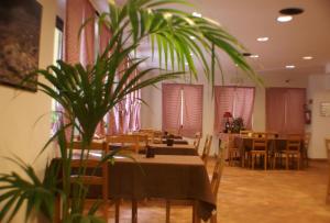 um restaurante com mesas e cadeiras e um vaso de plantas em Rifugio Giuliano Marini em Piano Battaglia