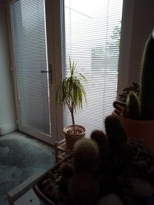 Gambar di galeri bagi Apartmán Hevlín di Hevlín