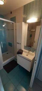 La salle de bains est pourvue d'un lavabo et d'une douche. dans l'établissement Charmant studio en plein centre avec parking, à Saint-Omer