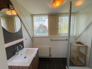 een badkamer met een wastafel, een spiegel en een douche bij Holiday Home Villa Favorita by Interhome in Zonnemaire