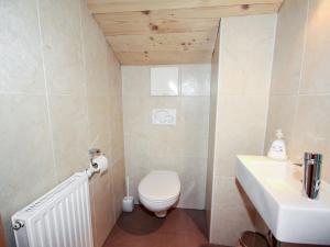 A bathroom at Apartment Schloßmühle by Interhome