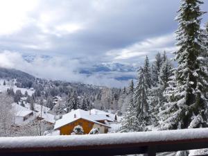 a house covered in snow on a snowy mountain at Apartment Savoie 1 by Interhome in Villars-sur-Ollon