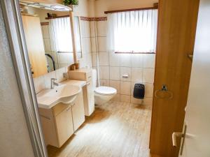a bathroom with a sink and a toilet and a mirror at Apartment Fricktalerhuus Apt 3 by Interhome in Surava