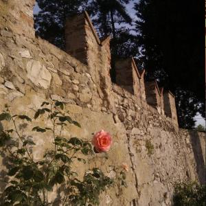 Fotografie z fotogalerie ubytování Il Palagetto v destinaci Bagno a Ripoli