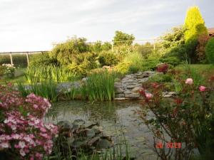 Giardino di Pointers Guest House