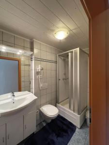 a bathroom with a toilet and a shower and a sink at Arlerhof in Untertauern