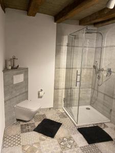 a bathroom with a shower and a toilet at Schöne Ferienwohnung Gewölbekeller Fachwerkhaus in Bacharach