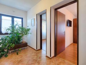 TV a/nebo společenská místnost v ubytování Apartment Chiara by Interhome