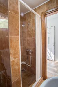 a shower with a glass door in a bathroom at Apartmani JEZERO in Žabljak