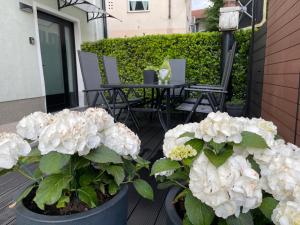 コバリードにあるApartment Ariaのギャラリーの写真 +24枚の写真