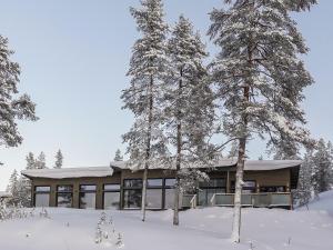 a house in the snow with trees at Holiday Home Villa kallas by Interhome in Karjalaisenniemi
