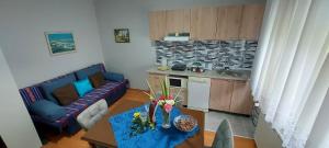Kuchyň nebo kuchyňský kout v ubytování Guest House Dunavski Raj