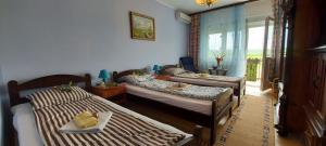 Postel nebo postele na pokoji v ubytování Guest House Dunavski Raj