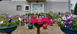 Zahrada ubytování Guest House Dunavski Raj