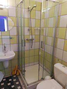 a bathroom with a shower and a toilet and a sink at Willa Anna in Międzyzdroje
