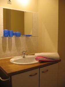 a bathroom with a sink and a mirror at Bordo Basso in Laugnac +14 photos