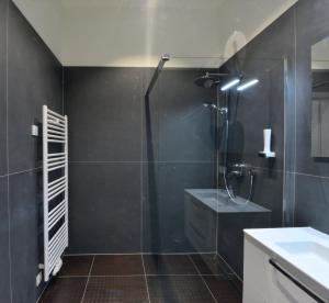 y baño con ducha y lavamanos. en Charming Studio in Servitenviertel II, en Viena