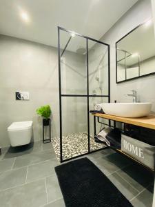 a bathroom with a shower and a sink and a toilet at Apartma Mija-Dekani in Dekani