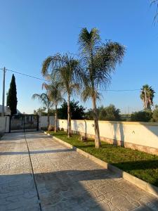 a sidewalk with palm trees next to a fence at Villetta di Venere in Marinella di Selinunte