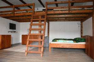 a bedroom with a bunk bed with a ladder and a bunk bed at Na koňské farmě in Malečov