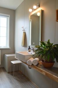 baño con lavabo, espejo y planta en Berunes HI Hostel en Berunes