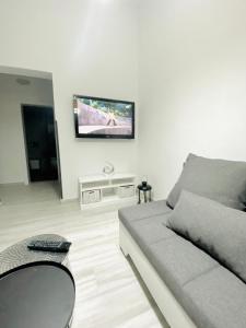 sala de estar con sofá y TV en la pared en Apartma Mija-Dekani, en Dekani