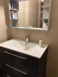 ein Bad mit einem Waschbecken und einem Spiegel in der Unterkunft Chambres chez l'habitant Hermès à Blagnac in Blagnac
