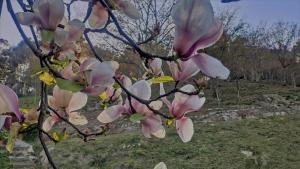 Fotografie z fotogalerie ubytování O Aconchego das Raízes v destinaci Baião