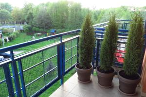 Vonkajšia záhrada v ubytovaní Nature