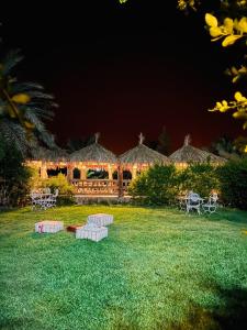 una casa con luces en el patio por la noche en Paradis Touareg en Zagora