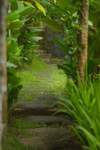 Kebun di luar Sebatu Tulen Villa