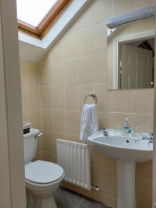 ein Badezimmer mit einem WC, einem Waschbecken und einem Spiegel in der Unterkunft Murphy's Guesthouse in Dingle