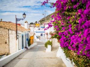 a village with purple flowers on a street at Somni in Cullera