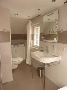 a bathroom with a sink and a toilet and a mirror at Apfeltraum-Erzgebirge in Neuhausen