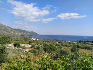 Príroda v okolí apartmánu + 8 fotografií