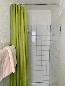 a bathroom with a shower with a green shower curtain at Hotel Reutiner Hof in Lindau
