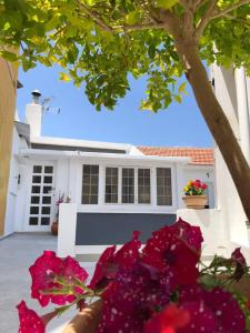 ein weißes Haus mit rosa Blumen davor in der Unterkunft Katsikantaris Homes in Paphos City