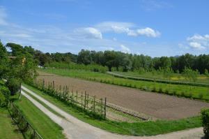 a farm field with a dirt road and trees at Agriturismo Al Podere Di Rosa in Sant' Alessio