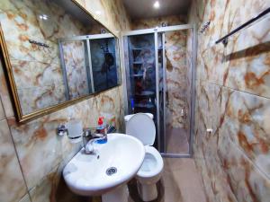 Un baño con lavabo, inodoro y ducha. en G&L APARTMENTS, en Tiflis 48 fotos más