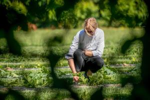 una mujer se agacha para mirar una planta en Al Segnavento - Fiori&Frutti, en Mestre