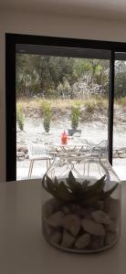 OmessaにあるCasa Prunelliの窓の前にある植物の入ったガラスの花瓶