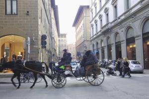 Hostia v ubytovaní Niccolò Terrace